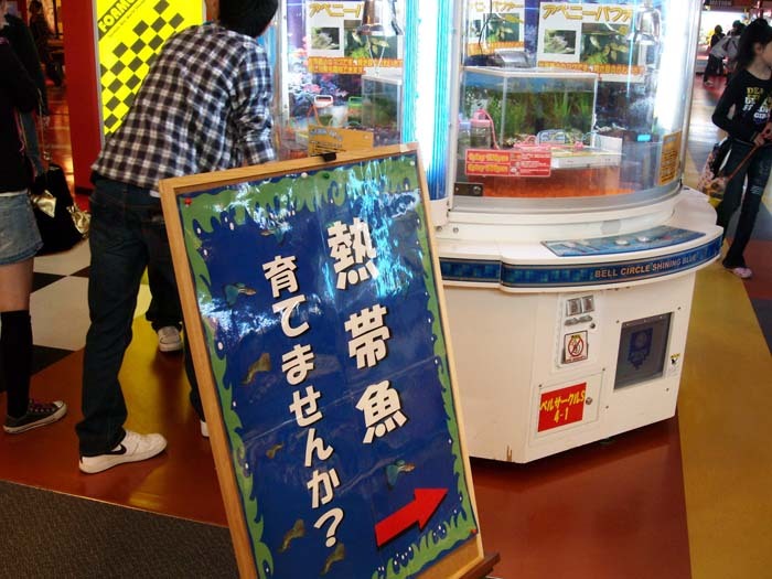 熱帯魚キャッチャー.jpg